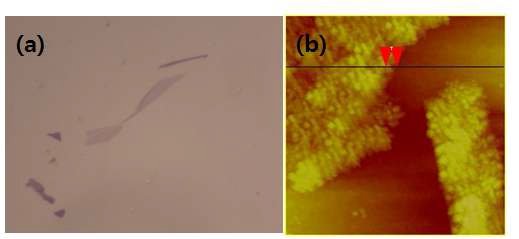 (a) 단일층 그래핀의 광학 이미지 (b) 양자점이 기능화된 그래핀의 원자힘 현미경 이미지
