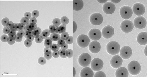실리카 쉘의 두께를 다르게 합성한 Au@SiO2 나노입자 TEM 사진