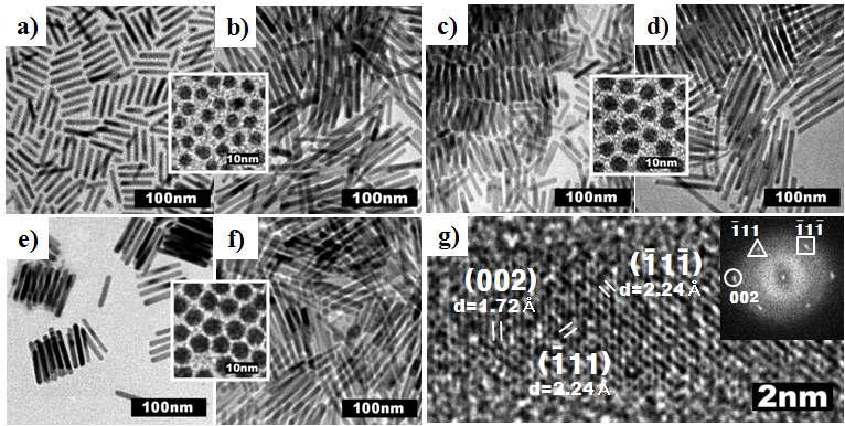 Pd 나노입자를 이용하여 합성된 Fe2P 나노막대의 TEM 이미지 a), c), e) 크기가 다른 Pd 촉매별 첨가한 Pd의 양이 많을 때 합성된 짧은 Fe2P 나노막대의 TEM 이미지 b), d), f) Fe 나노입자의 양이 많을 때 합성된 긴 Fe2P 나노막대의 TEM 이미지 g) 나노막대의 고배율 TEM 이미지와 Fast Fourier Transform 이미지.
