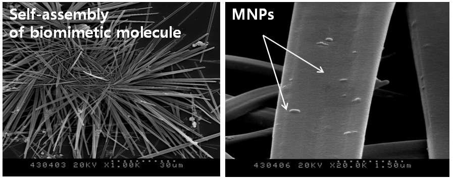 피롤링을 포함하는 생체모방분자의 SEM 이미지