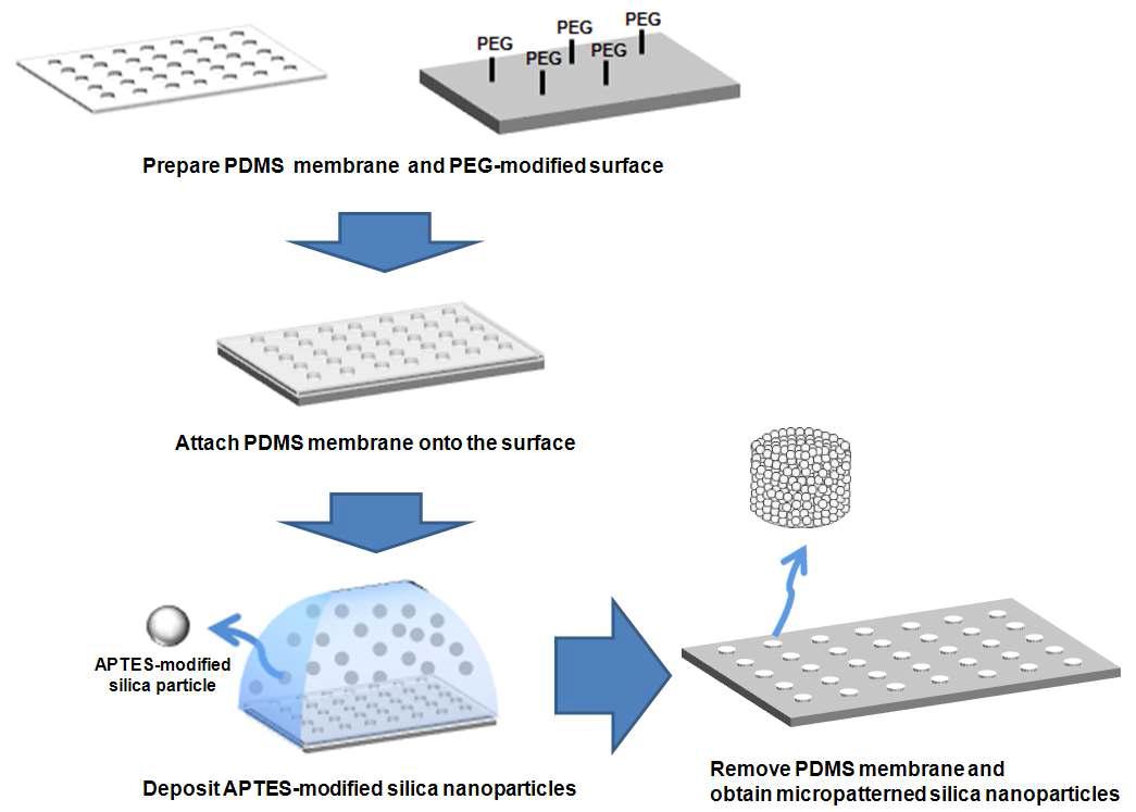 제조된 stencil을 이용해 실리카 나노입자를 아래 그림과 같은 방법으로 마이크로 패턴화 함.