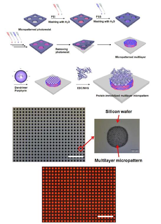 포토리소그래피 및 lift-off 공정을 이용해 다층박막 마이크로패턴을 제조한 후, 덴드리머를 고정함