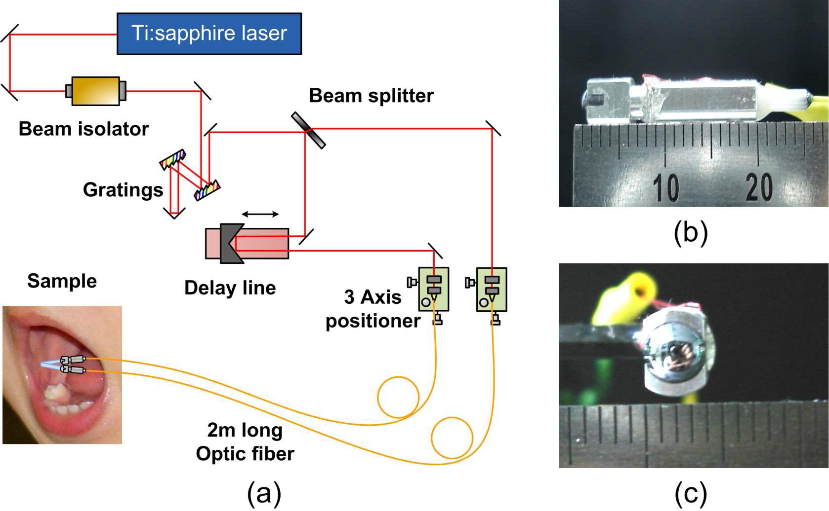 (a) THz 내시경 구성도. (b) 내시경 head의 측면사진. (c) 정면사진.