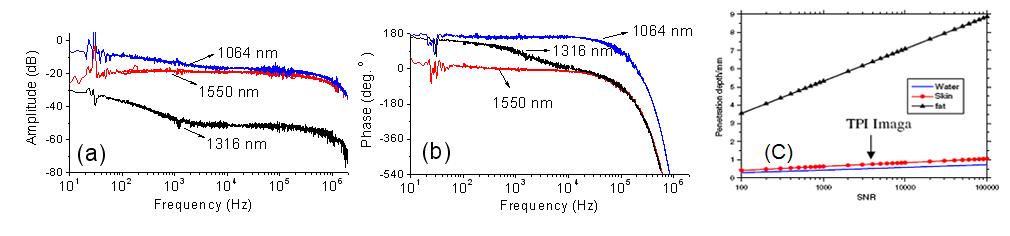 Heterodyning 기술을 통해 측정된 (a) amplitude (b) phase, (c) S/N ratio와 penetration depth 사이의 상관관계.