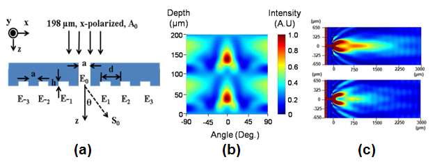 (a) THz 메타물질 설계 개념도, (b)Hankel 함수의 최적화 결과, (c) Sub-wavelength 의 공간분해능 및 가변하는 초점거리 획득.