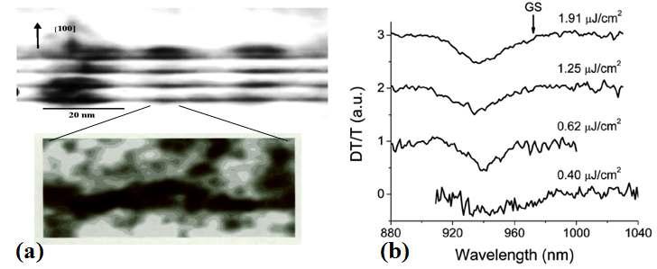 (a) cross-sectional TEM of QDs (b)전자기파와의 상호작용.