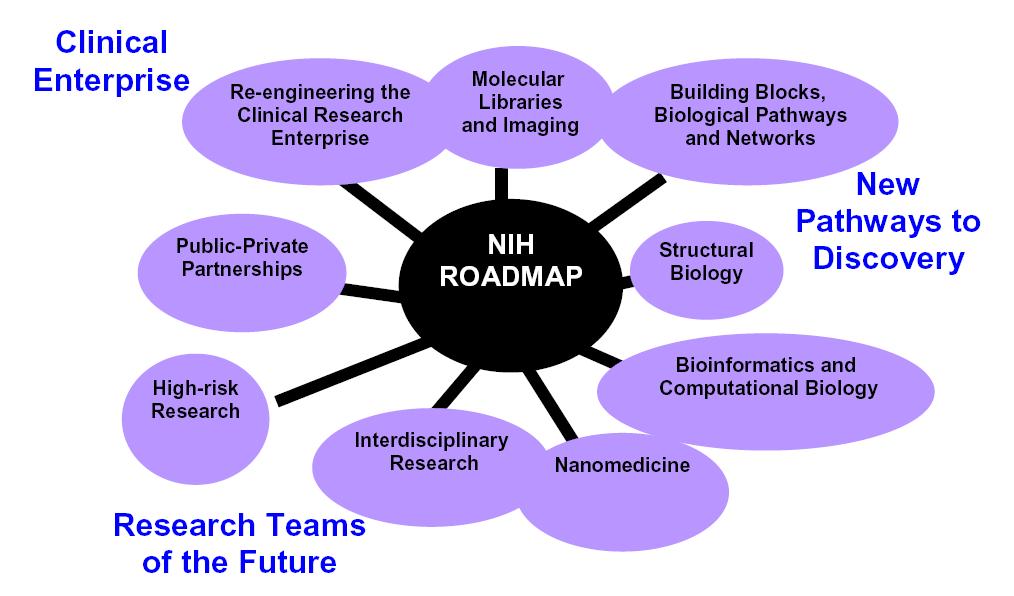 NIH 로드맵