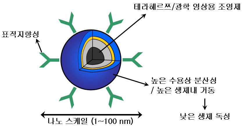 본 과제를 통한 테라헤르쯔/광학 영상용 나노프로브의 개념도