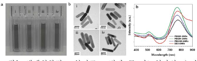 생체친화적 고분자로 코팅된 금 나노입자의 a) 수용상 분산도, b) 전자 투과 현미경 사진, c) UV-Vis 흡광