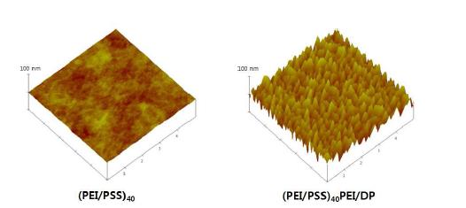 덴드리머 고정에 따른 표면의 나노모폴로지 확인