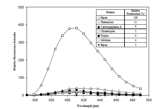프로테아제에 의한 선택적 분해를 나타내는 형광 결과