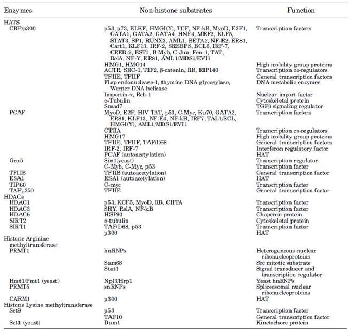 다양한 종류의 non-histone 단백질의 변형예