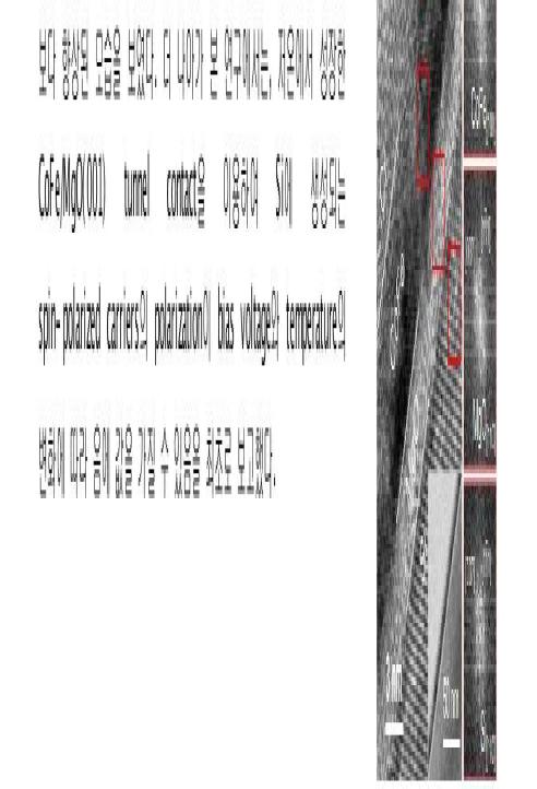 (a) Device geometry. (b) Crystal characterization of CoFe/MgO/Si contact