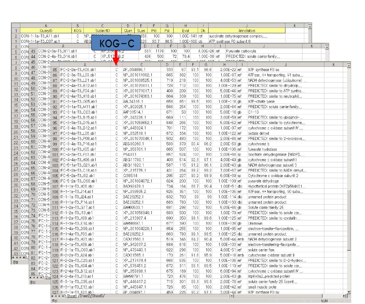 허혈성 심장질환 관련 4,109 개의 대용량 유전자 데이터베이스, 허혈성 심장질환 공개 데이터베이스 구축