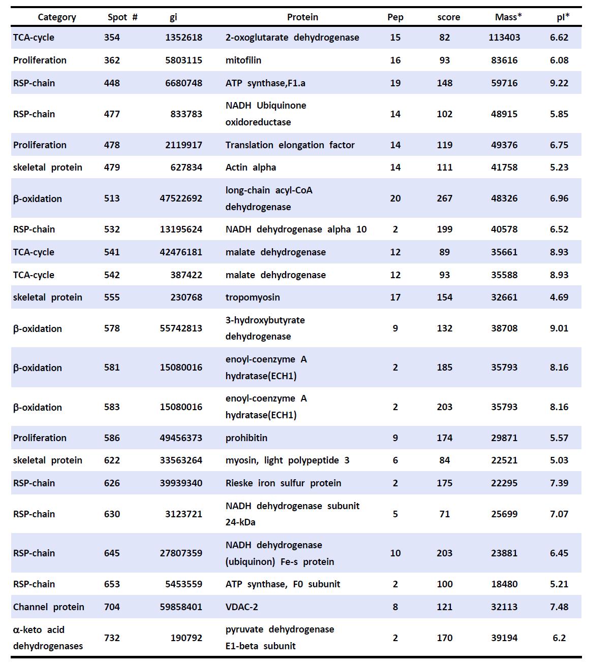 Proteins identified from changes in the spots representing the levels of mitochondrial protein in IR samples versus those in IPC and control samples.