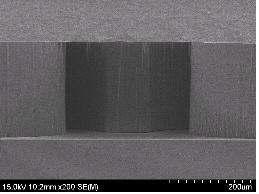 제작된 force sensor 내부의 전자현미경(SEM) 사진