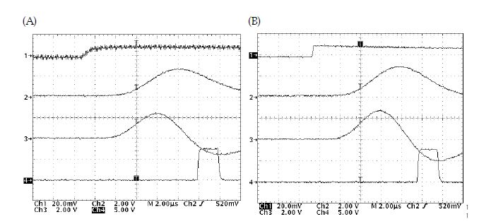 Signal shapes measured by using digital oscilloscope.