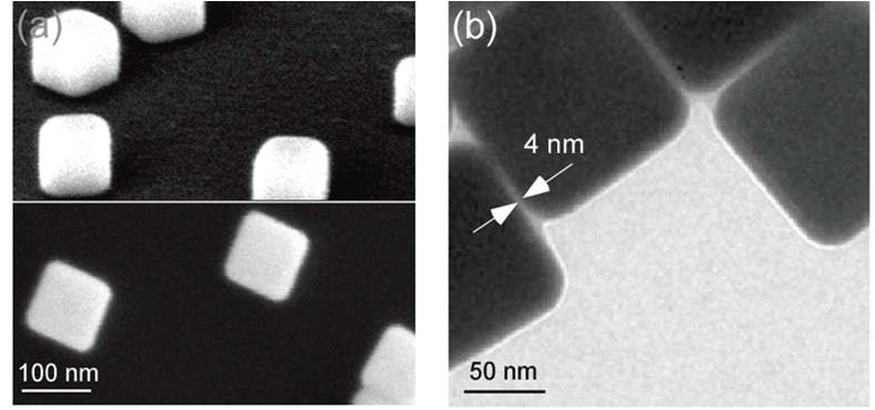 금 나노큐브의 (a) SEM 및 (b) TEM 이미지.
