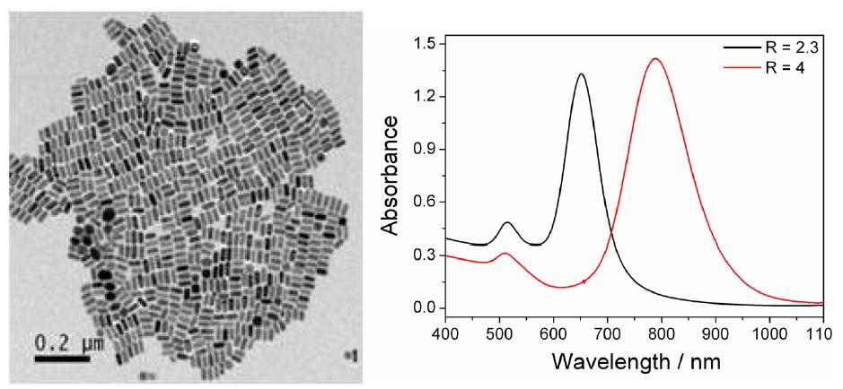 금 나노막대의 (좌) TEM 이미지. (우) UV-vis 스펙트럼.