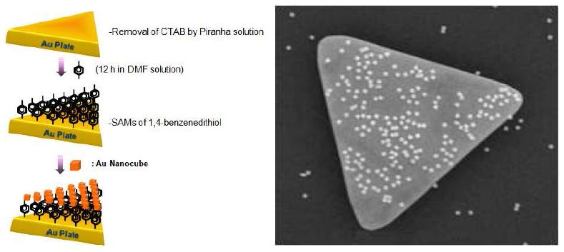 (좌) 금 나노큐브-금 나노판 어셈블리 제조 방법 및 (우) SEM 이미지.