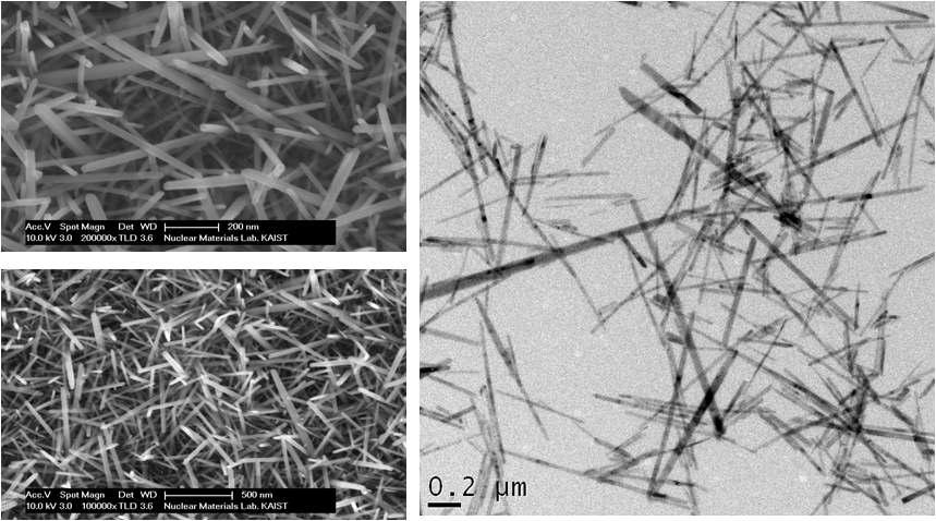 ZnO 나노선의 SEM 과 TEM 이미지