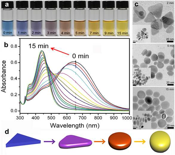 (a) Br 이온 첨가 후 시간에 따른 은 나노입자 용액의 (a) 색변화 및 (b) UV-vis 스펙트럼 변화. (c) 은 나노입자의 모양변화에 따른 투과전자현미경 이미지 (삽입그림 : 은 나노입자의 단면). (d) 은 나노입자의 모양 변형 모식도.