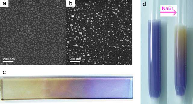 (a) 실리콘 기판에 자기조립된 삼각형 모양의 은 나노입자의 SEM 이미지. (b) Br 음이온에 의해 모양이 변형된 후의 SEM 이미지. (c) 유리 기판에 은 나노입자를 어셈블리 시킨 후 Br 음이온으로 처리한 광학 이미지. (d) 실리카겔에 은 나노입자를 어셈블리 시킨 후 Br 음이온으로 처리 전과 처리 후의 광학 이미지.