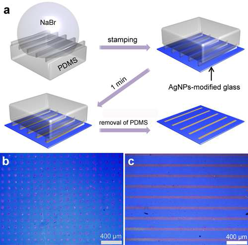 (a) PDMS를 이용하여 가변 플라즈몬 기판을 제작하는 과정의 모식도. (b) 점형 패턴을 가지는 가변 플라즈몬 기판. (c) 선형 패턴을 가지는 가변 플라즈몬 기판.