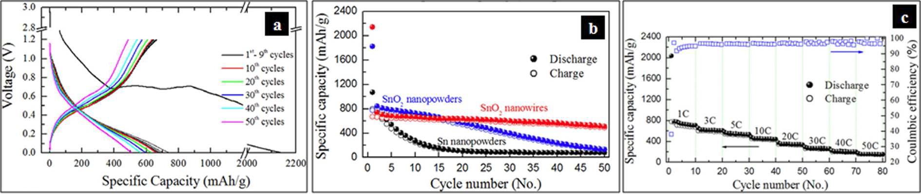자가지지형 1차원 나노선 SnO2의 전기화학적 특성 평가/분석