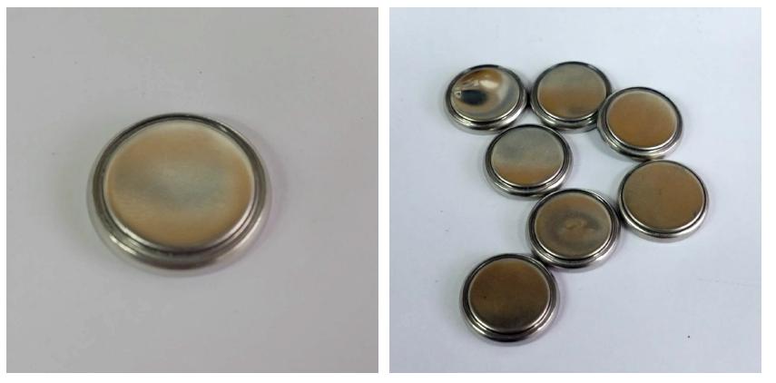 2032 type Coin Cell