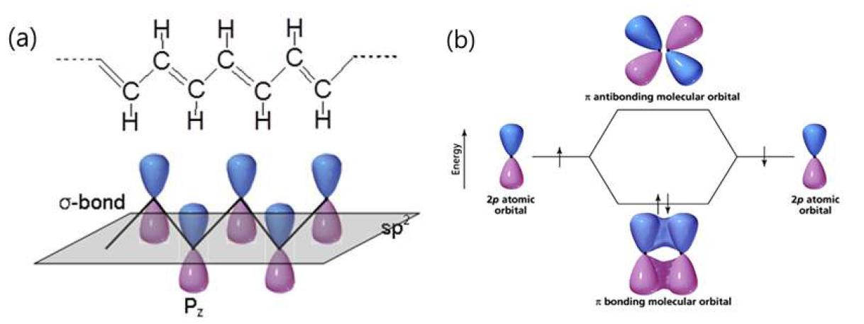 (a) trans-polyacetylene의 화학적 구조와 (b) π 결합과 π 반결합 분자궤도의 에너지 레벨.