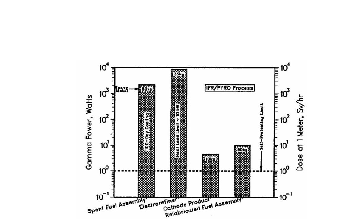 IFR 연료의 방사선량