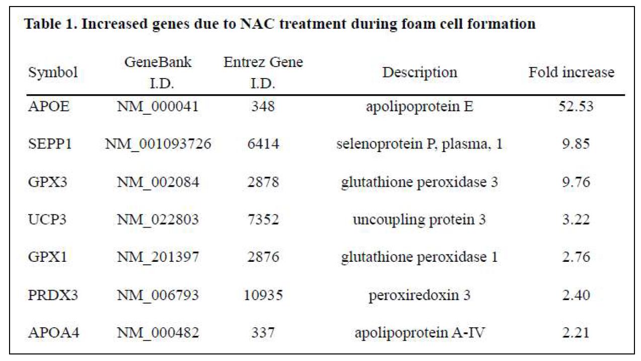 거품세포 형성과정 중 NAC 처리시 발현이 증가하는 유전자들