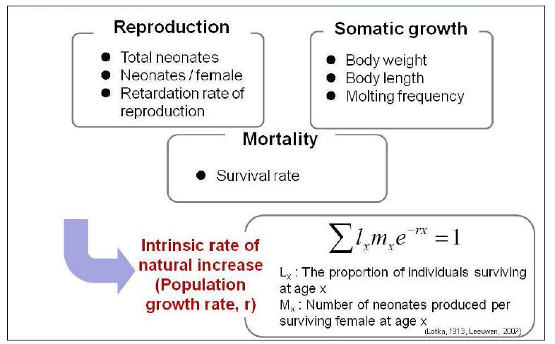 The endpoints for the effect of tetracycline on D. magna and the relationship between organism land population level responses