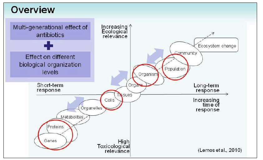 Ecological relevance between different levels of biological organization after toxicant stress exposure