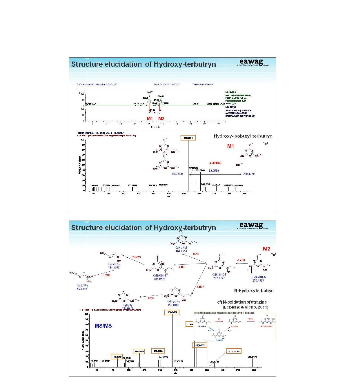 Structure elucidation of hydroxy-terbutryn