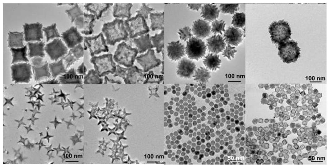 다양한 형태의 MnO@(Fe,Mn)3O4 나노입자의 TEM image (Left), 중공구조 Mn-doped iron oxide의 TEM image (Right)