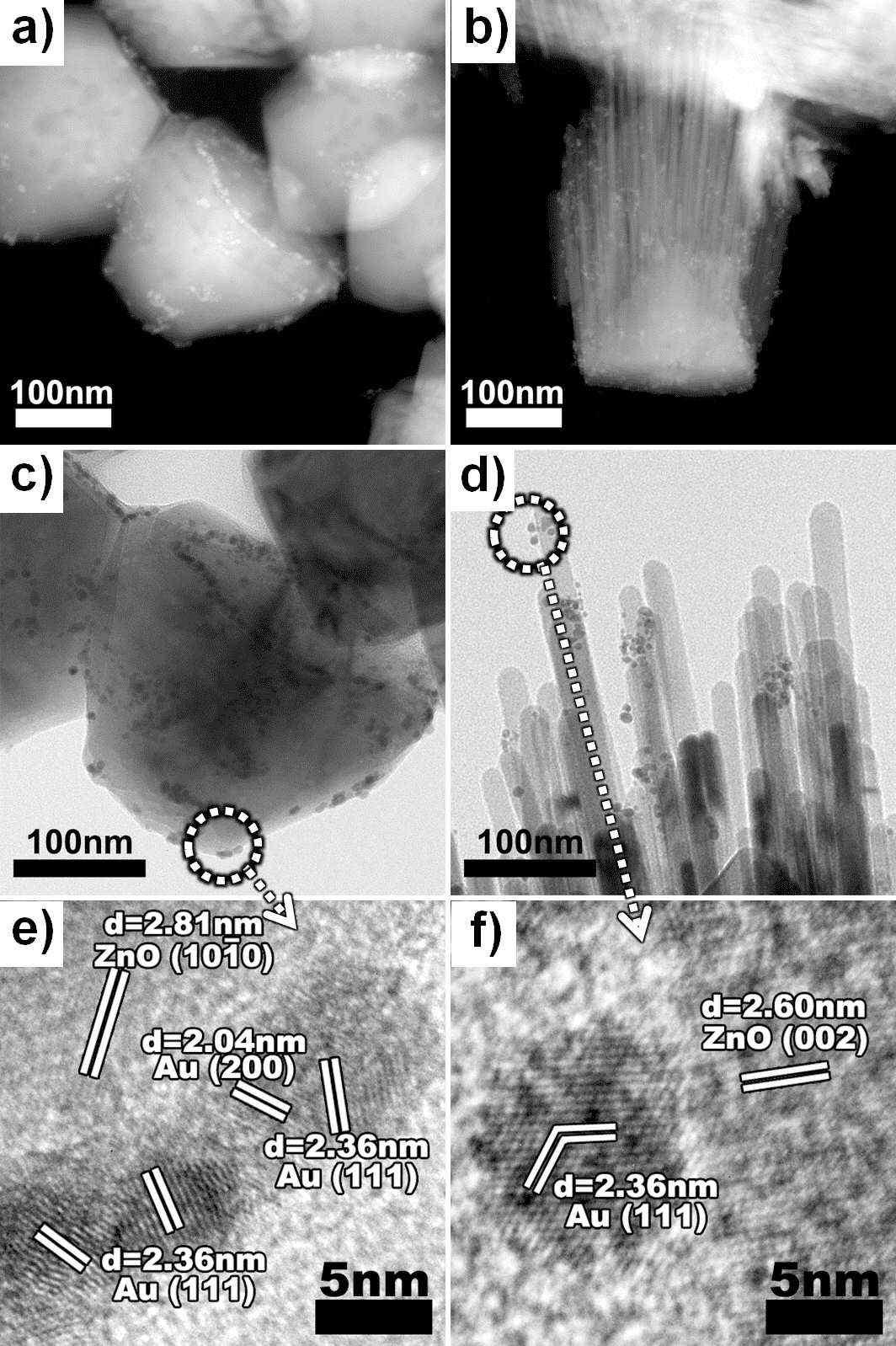 합성한 Au/ZnO 구조들의 STEM image (a,b), TEM image (c,d), HRTEM image (e,f).