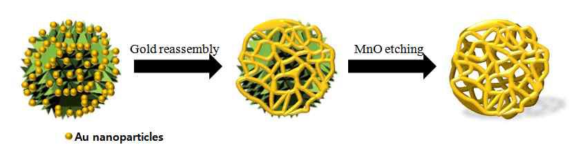 금나노입자를 재배열시키고 산화망간을 식각한 후의 남은 금나노입자 망상구조의 개념도.