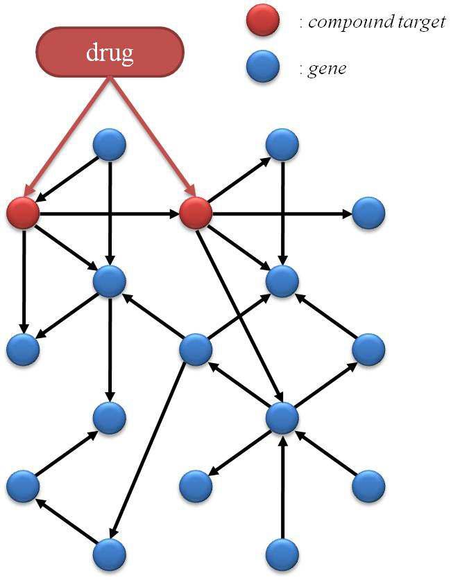 실험 조건 특이적 네트워크와 질병-약물간의 관계성 규명