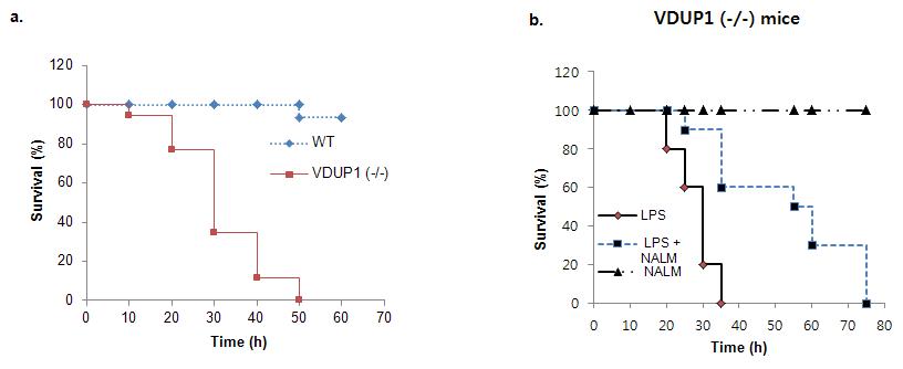 a, Kaplan-Meier analysis of survival in VDUP1+/+ and VDUP1-/- mice in the presence of LPS. b, Effect of NO scavenger on survival of LPS injected VDUP1-/- mice.