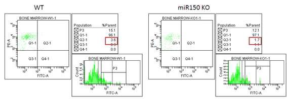 Bone Marrow에서 분화된 NK cell에서 Ly49A subtype의 발현