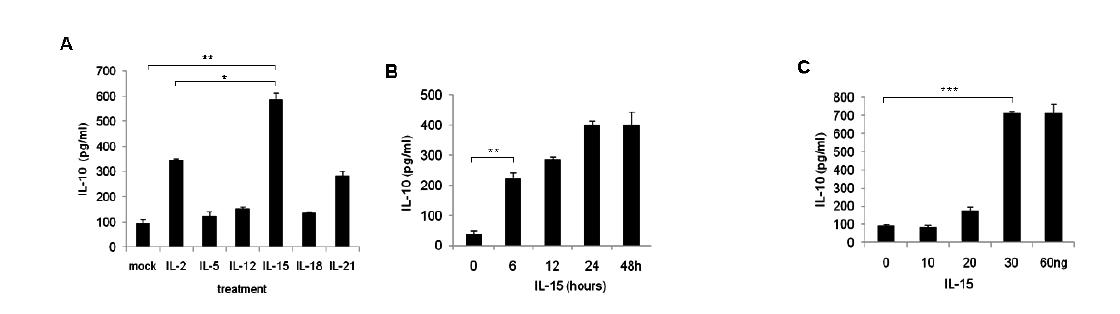NK세포에서 IL-15에 의한 IL-10 발현