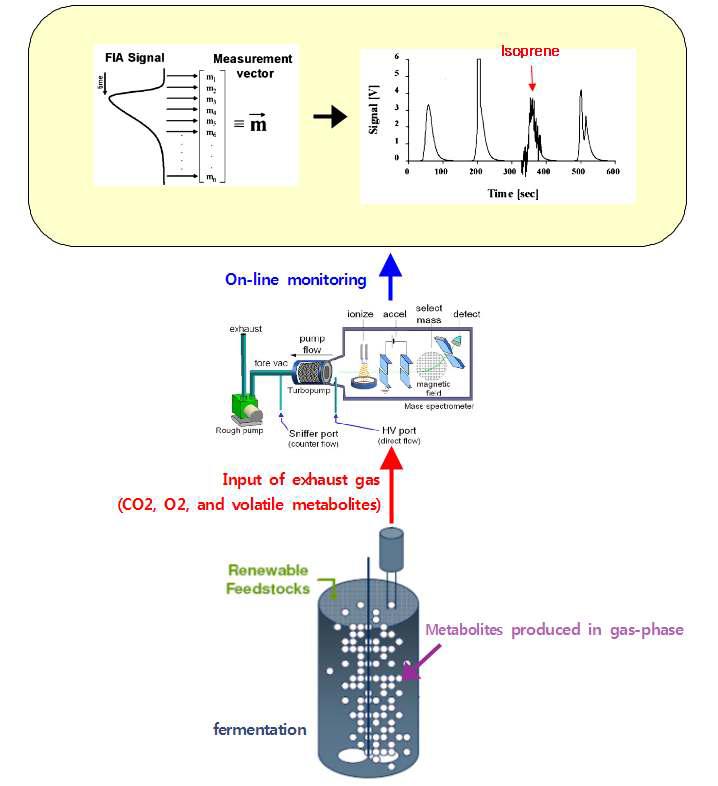 On-line Bioprocess monitoring for volatile metabolites