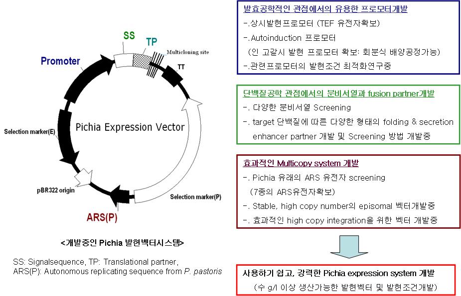 개발 중인 신규 피키아 발현 벡터 시스템