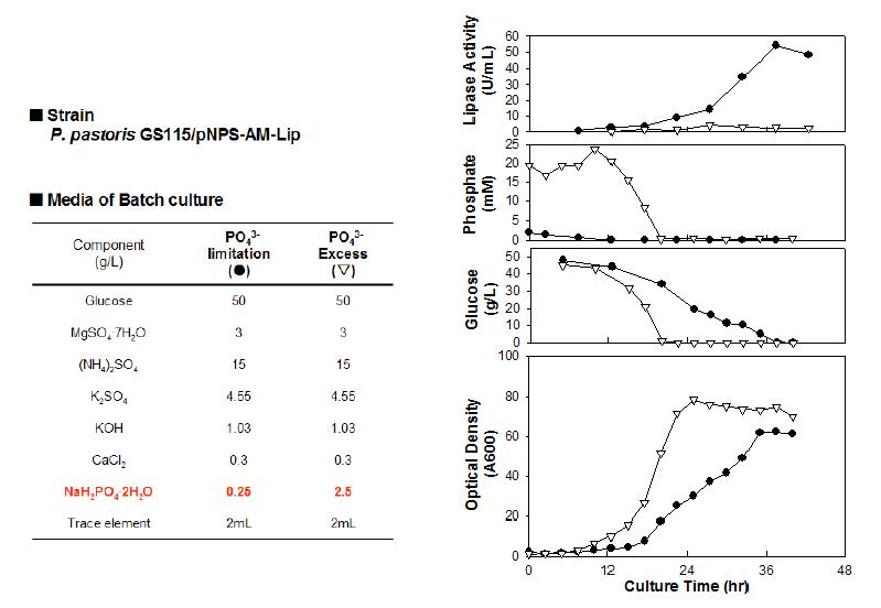 Phosphate-responsive NPS 프로모터를 이용한 단백질 생산