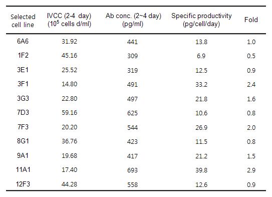 대조군 6A6과 limiting dilution을 통해 선별된 clone의 2~4 일간 부착배양 비생산성 연구
