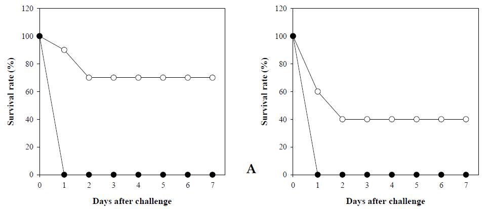 A. pleuropneumoniae serotype 2 (A) and 5 (B)로 부스팅 후 rApxIIA으로 백신화된 쥐와 비백신화된 쥐의 생존률 in the rApxIIA-vaccinated and unvaccinated mice