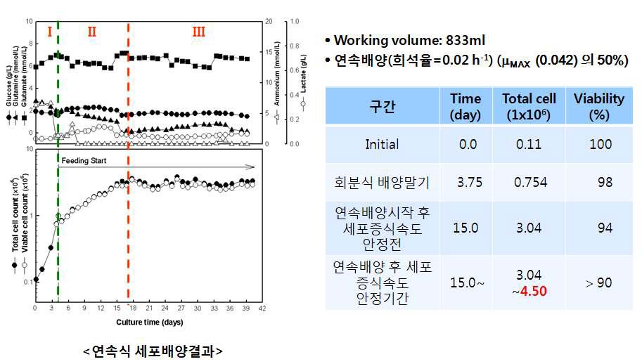 연속식 곤충세포 배양 결과