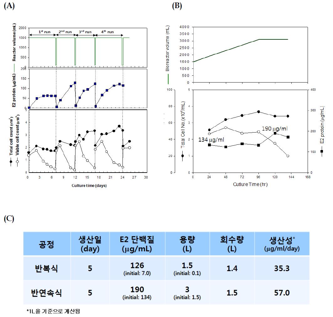 반복식 (A), 연속식(B) 단백질 생산공정과 결과비교(C)